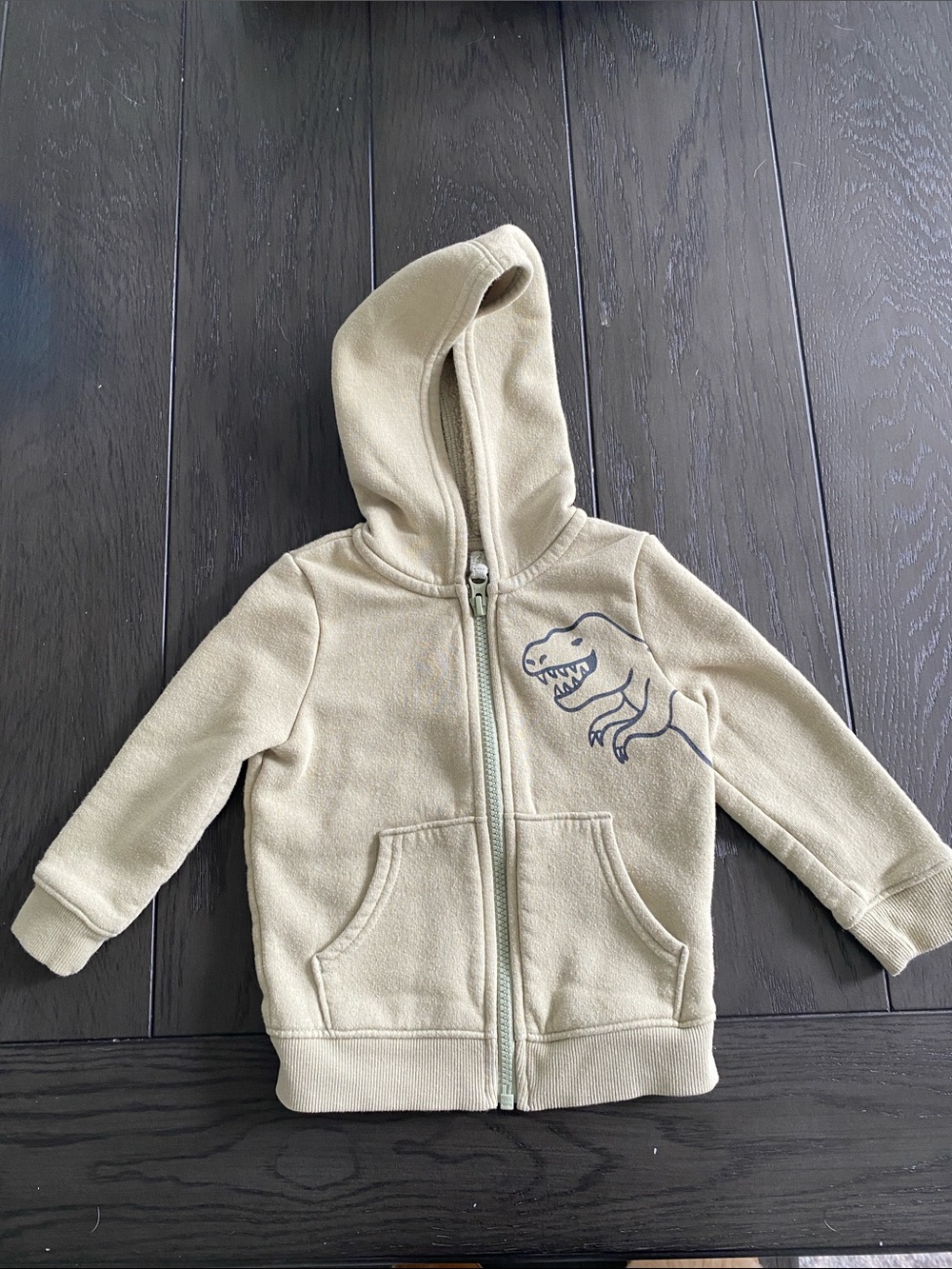 Kids Dinosaur Zip-Up Hoodie